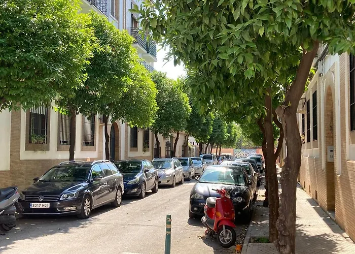 Acogedor En Semisótano Con Patio Y Cerca De La Plaza De España